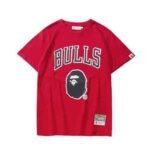 bape-bulls-classic-cotton-t-shirt-bape-hoodies-952.jpg